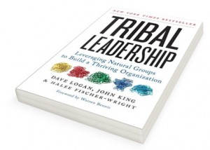 Tribal Leadership Book Cover